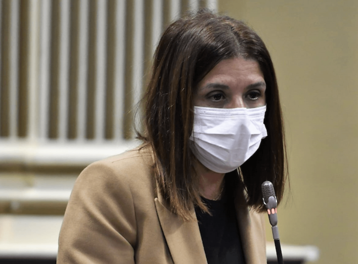 Carmen Hernández, durante una intervención en el Parlamento canario / TA